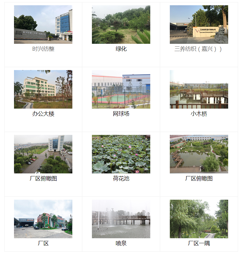 纺织,纺织科技,海洋之神590